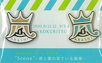 嵐  君と僕の見ている風景グッズ☆ピンバッジ Amazon.co.jp: 嵐 ARASHI 10-11 TOUR 